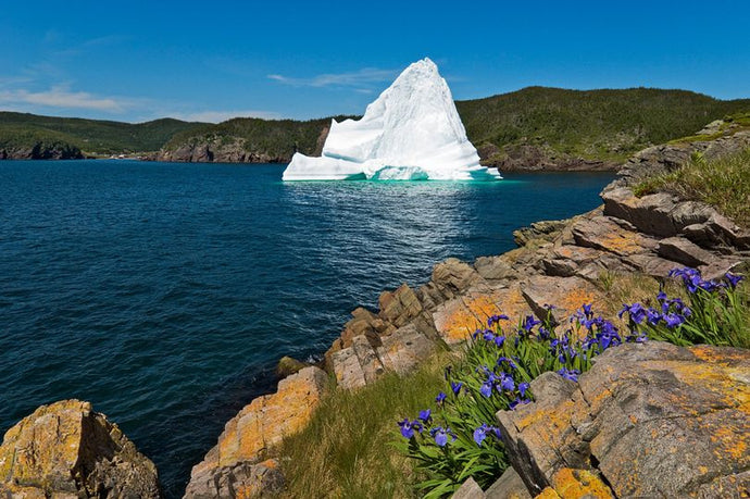 Cool and quirky Newfoundland may become your new favourite destination (via Mirror)